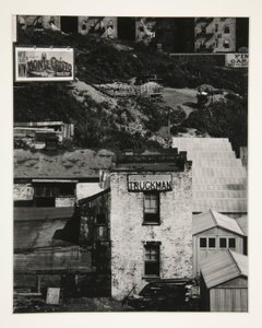 Vrachtwagenchauffeur door Paul Strand
