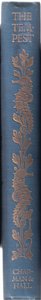 Rug ontwerp, illustratie uit De Storm, 1908 door Paul Vincent Woodroffe