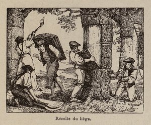  door Paul de Laubadere