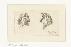 Twee paardenkoppen