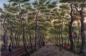 Het Herepad in het Haagse Bos door Paulus Constantin La Fargue