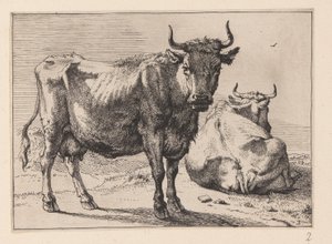 Een staande koe en een liggende koe, van verschillende ossen en koeien door Paulus Potter