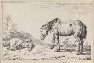  door Paulus Potter