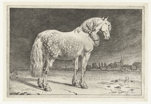 Het Friese paard