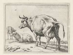 Pissende koe door Paulus Potter