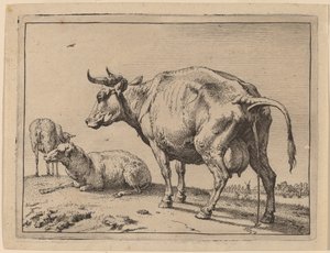 Pissende koe door Paulus Potter