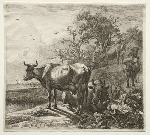 De koeherder