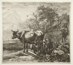 De koeherder