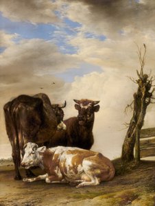 Twee Koeien en een Jonge Stier naast een Hek in een Weide