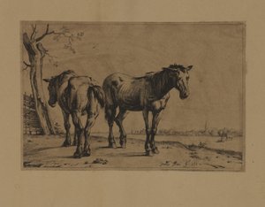 Twee paarden