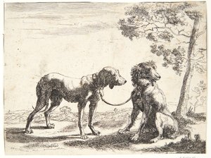 Twee honden aan elkaar gebonden door Paulus van Hillegaert (II)