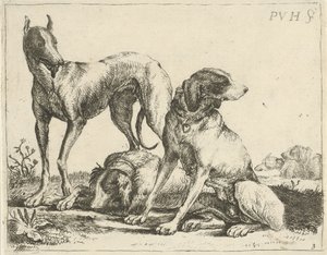 Drie honden door Pauwels van Hillegaert