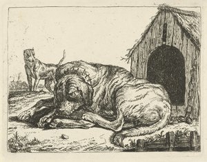 Liggende hond aan een ketting (Verschillende honden)