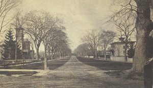 Hillhouse Avenue, 19e eeuw
