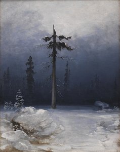 Boom in een winterbos