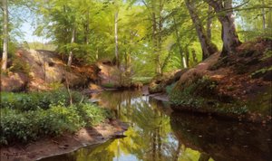 P. Mönsted, Zonnige dag aan de bosbeek