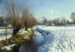 Zonnige winterdag aan de beek