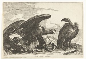 Gier en een arend met slang Vogels uit de menagerie van Versailles (series title) door Peeter Boel (attributed to)