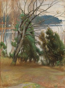  door Pekka Halonen