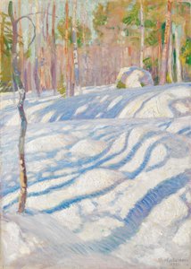  door Pekka Halonen