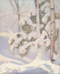  door Pekka Halonen