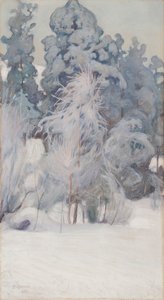  door Pekka Halonen