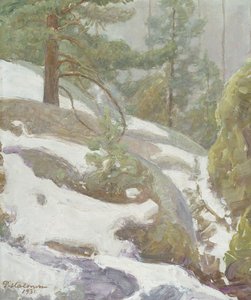  door Pekka Halonen