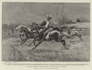 Bushleven in Australië door Percy F.S. Spence