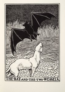 De vleermuis en de twee wezels, uit Fontaine Fabels, uitgegeven 1905 door Percy J. Billingshurst
