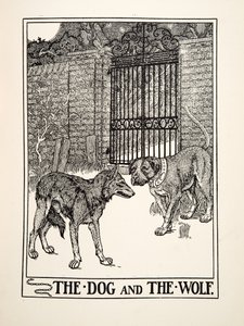 De Hond en de Wolf, uit Honderd Fabels van Aesopus, uitgegeven 1903 (gravure) door Percy J. Billingshurst