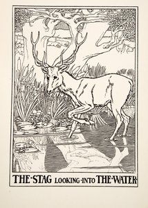 Het Hert dat in het Water kijkt, uit Honderd Fabels van Aesopus, uitgegeven 1903 (gravure) door Percy J. Billingshurst