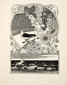De tamme meeuw, uit Honderd anekdotes van dieren, uitgegeven 1924 (gravure) door Percy J. Billingshurst