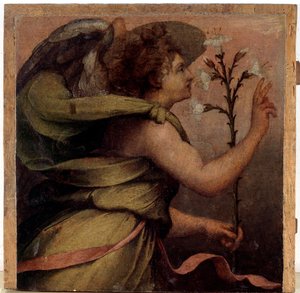 Engel van de Aankondiging (detail) door Perino del Vaga