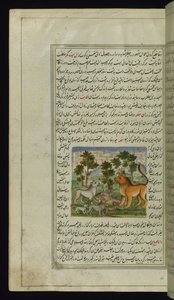 Leeuw en andere dieren uit Lichten van Canopus