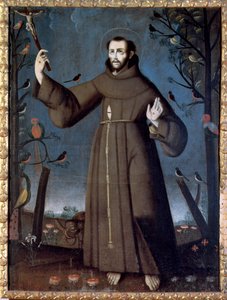 Sint-Franciscus van Assisi
