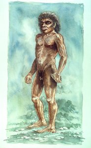 Boxgrove Man, Prehistorisch, 1990-2010
