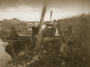 Tijdens de Rietoogst, Leven en Landschap op de Norfolk Broads, ca. 1886 door Peter Emerson und Thomas Goodall