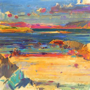 Iona naar Mull, 2012