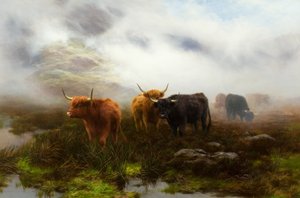 Heide en Mist door Peter Graham