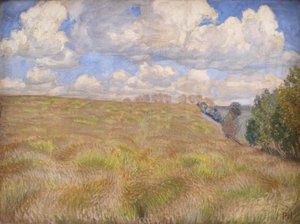 Een veld met wuivende rogge