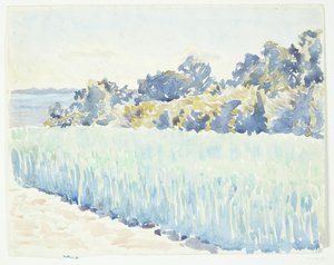Fyns landschap. Korenveld bij een bos