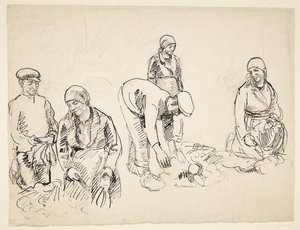 Bietenrooiers. Studieblad