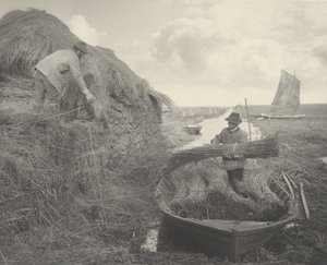 Riet binden, 1886