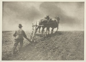Een Strakke Trek, (Suffolk)