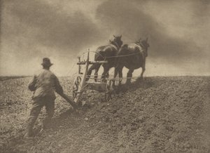 Een stijve trek. [Suffolk.]