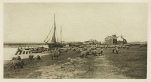 Blackshore, River Blythe (Suffolk)