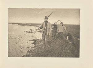 Thuiskomen uit de moerassen