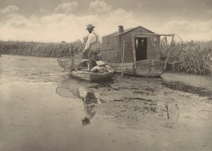  door Peter Henry Emerson