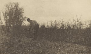 Omheiningen in Suffolk door Peter Henry Emerson