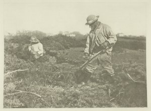 Brem Snijden op een Suffolk Gemeente door Peter Henry Emerson